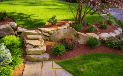 Mainscape: Your Premier Full-Service Landscaping Company