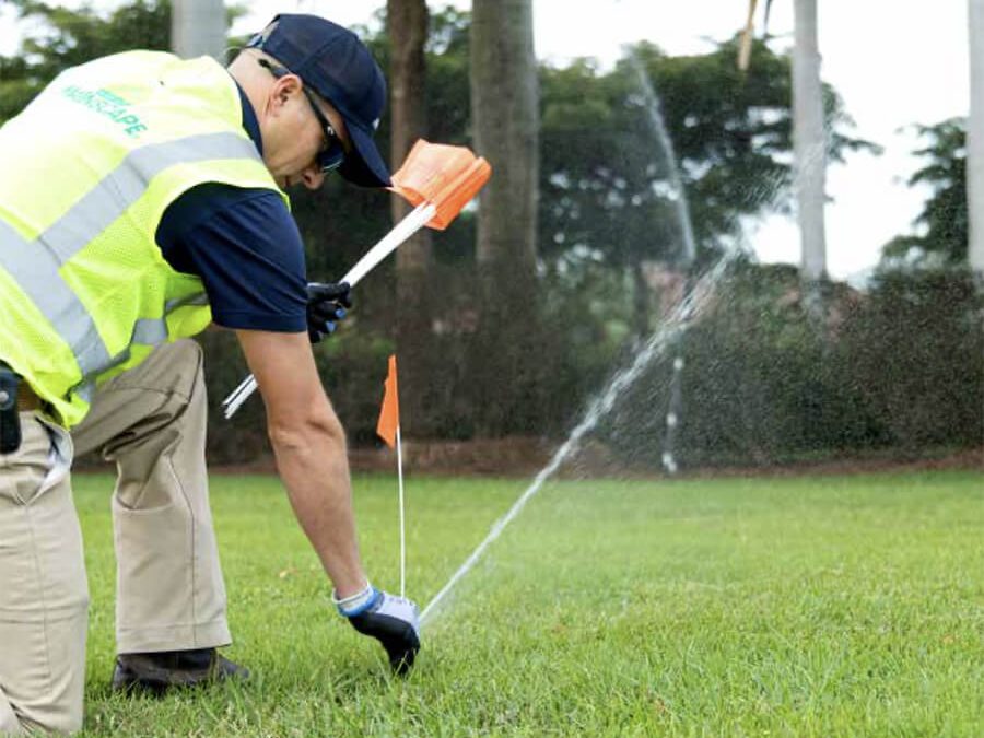 The Drip: Irrigation During Dry Conditions