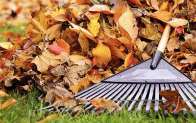 We make all the leaves leave