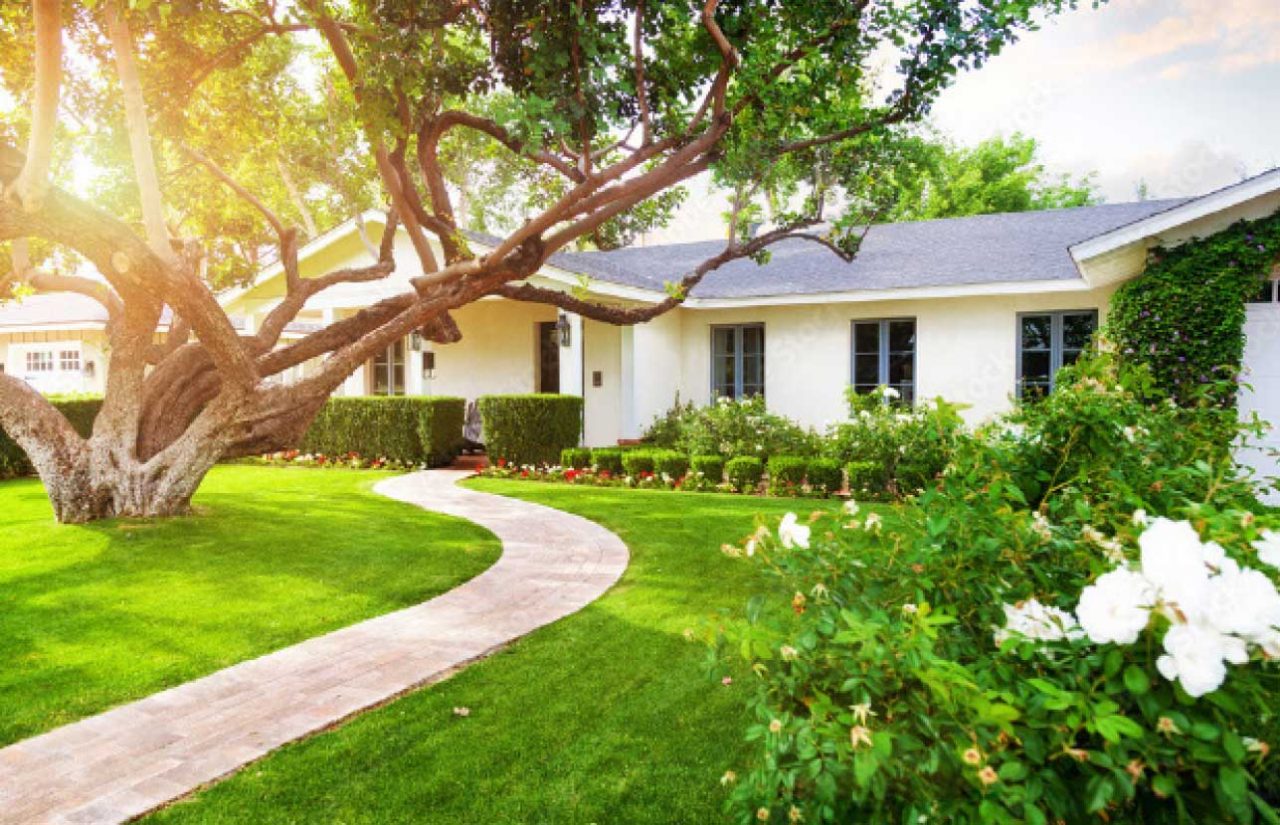 Transform Your Landscape Mainscape Landscape Services