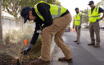 The Drip: Benefits of an Irrigation System