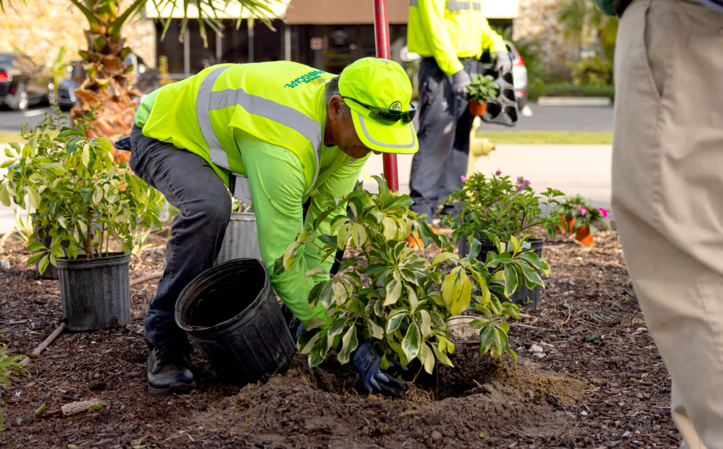 landscaping services company