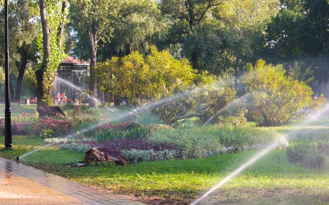 Landscaping Florida Properties for Health and Value