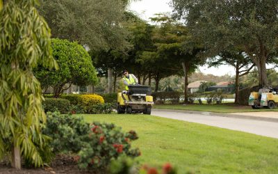 The importance of professional landscaping services for ecology