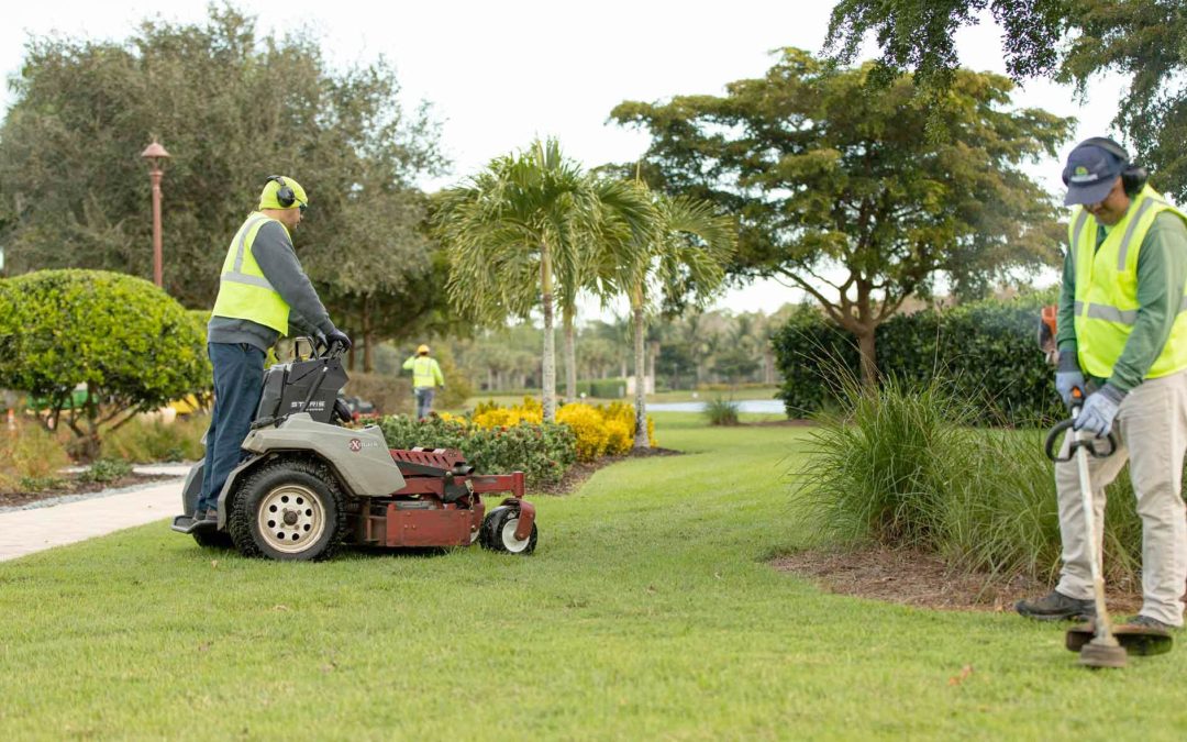 Best Landscaping Company