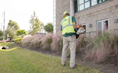 Commercial Landscaping