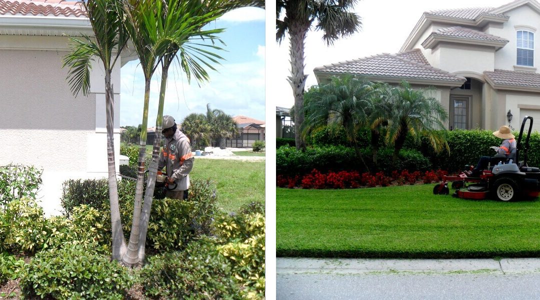 Landscape Business Near Me | Mainscape