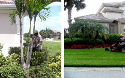 Landscape Business Near Me | Mainscape