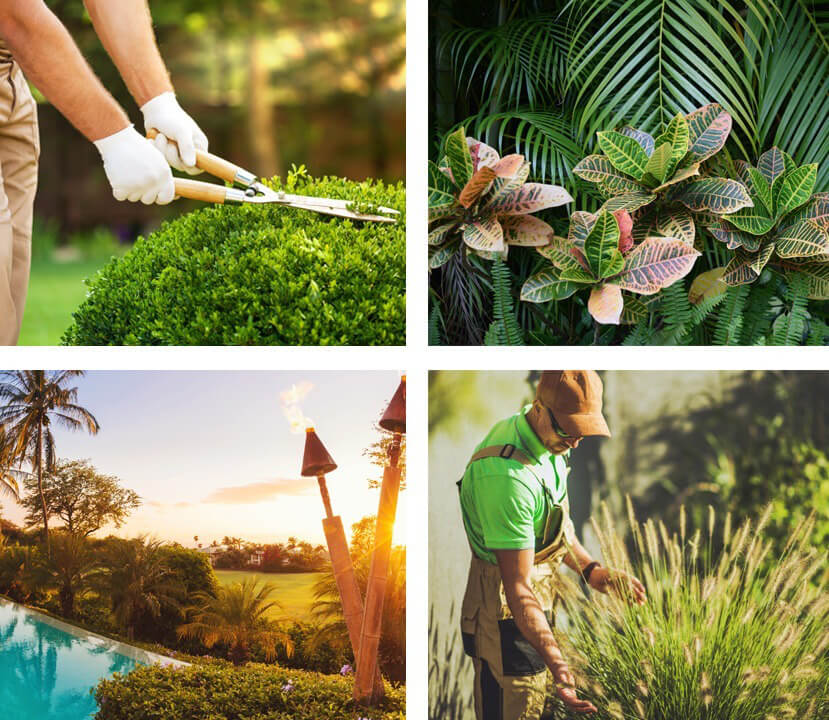 landscaping company in florida