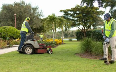 Landscaping Company Florida: Mainscape