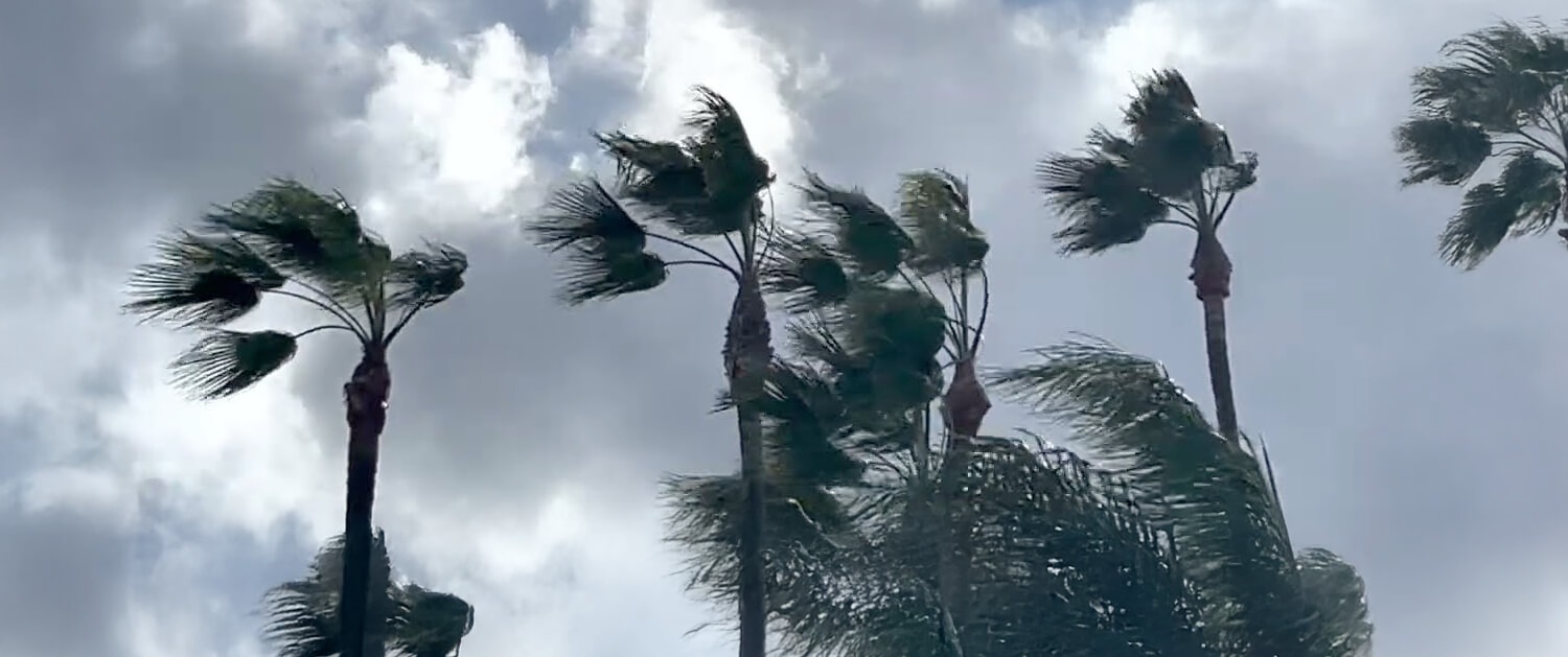 preparing landscape for hurricane season