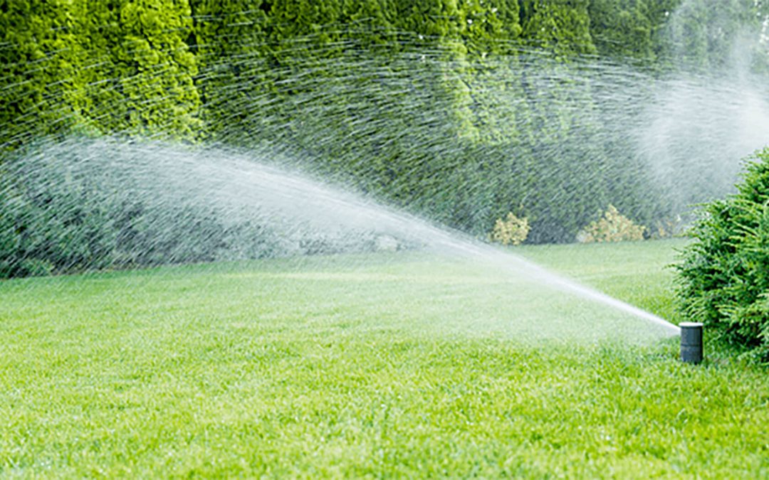 Florida Landscaping Companies: Where Innovation Meets Care