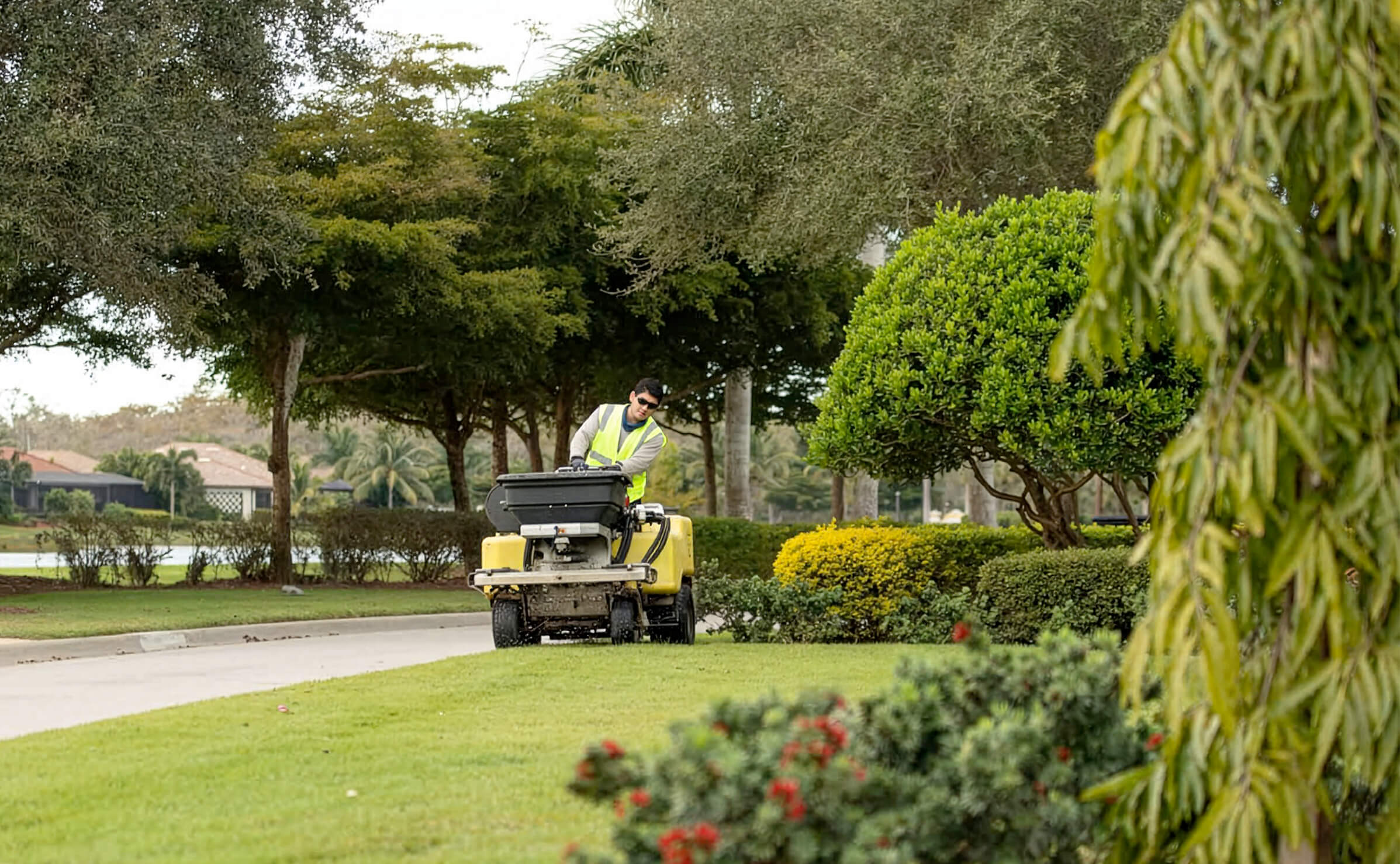landscape services florida - mainscape